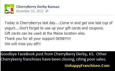 CherryBerry franchise