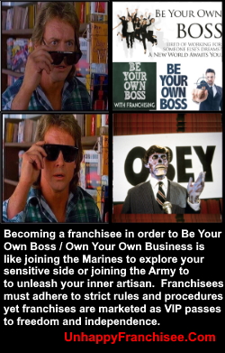 Be Your Own Boss Franchise Myth